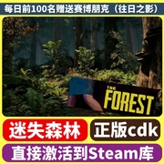 steam正版迷失森林theforest森林cdk在线联机国区激活码key