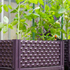 阳台种菜神器家庭蔬菜种植箱楼顶，专用种菜箱，室外花盆塑料户外花箱