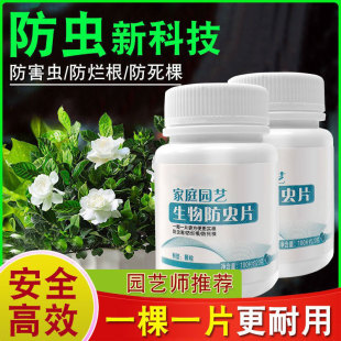 家用园艺防虫片糖化硼肥片花卉绿植物多肉盆栽土壤驱虫防烂根害虫