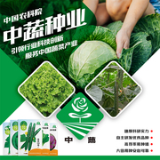 中国农科院蔬菜种子香菜，空心菜水果黄瓜甘蓝黄心乌苤蓝苦瓜菜籽孑