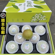 秋贵妃果狗玉露香梨7斤礼盒装大果脆甜多汁新鲜水果生梨
