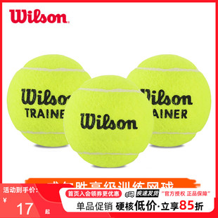 Wilson威尔胜网球威尔逊无压球耐磨耐打初学者练习专业比赛训练球