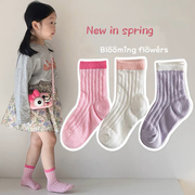春夏季女童薄袜子儿童纯棉网孔网眼中筒长袜宝宝袜子