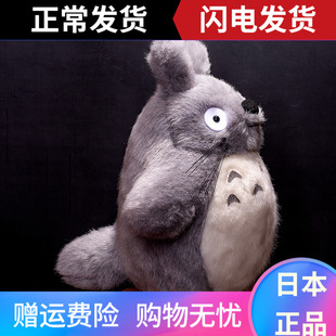 日本吉卜力龙猫公仔千与千寻正版Totoro宫崎骏毛绒玩具玩偶娃