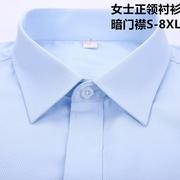 春秋女士浅蓝衬衫斜纹大码棉长短袖职业装工装平领白衬衣收腰显瘦