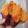 西瓜红蜜薯新鲜现挖5斤中薯广东茂名番薯特产红心地瓜产地发红薯