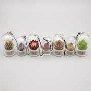 活植物随身多肉学生钥匙扣迷你盆栽挂件桌面微景观生态瓶创意