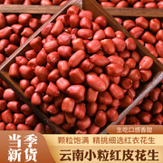 新货红皮花生米小颗粒生新货农家自产5斤云南红衣生花生仁新鲜