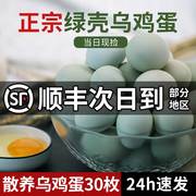 乌鸡蛋新鲜正宗农家散养山鸡蛋，绿皮鸡蛋笨鸡蛋，40枚整箱绿壳土鸡蛋