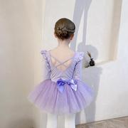 儿童舞蹈服秋季长袖女童练功服套装分体开档套装裙幼儿芭蕾舞裙定