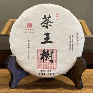 易武正山刮风寨茶王树乔木古树纯料春茶普洱茶云南七子饼生茶