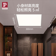 德国柏曼厨房铝扣板集成吊顶灯 卫生间浴室天花led嵌入式平板灯