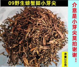 09年螃蟹脚野生茶古树甘仓纯料散茶普洱批零散装