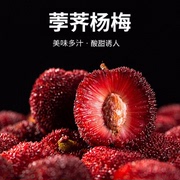 正宗仙居荸荠杨梅新鲜黑炭，梅6斤当季孕妇水果现摘现发冷链