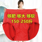 200-300斤加肥大码高腰红色，本命年三角内裤，女胖mm中老年妈妈短裤