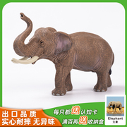 仿真动物玩具套装野生模型，实心硬摆大象亚洲象公象认知儿童礼物