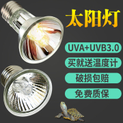 乌龟晒背灯uva+uvb3.0太阳灯，补钙杀菌加热全光谱，变频灯泡迷你