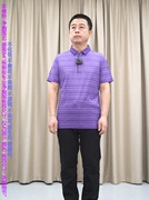 紫色条纹短袖t恤天丝+桑，蚕丝+棉普洛克24夏商务休闲针织衫