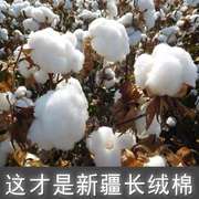 新疆长绒棉被手工纯棉花被，褥子棉絮加厚保暖被子，床垫棉胎冬季被芯