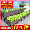 阳台种菜盆家庭蔬菜种植箱楼顶，菜园种菜专用箱，户外种植箱特大花箱
