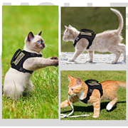 战术猫咪胸背带背心式牵引绳防挣脱可调节外出溜猫狗小型幼犬链子