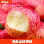 陕西红富士苹果水果新鲜整箱当季脆甜丑平果10冰糖心萍果大果