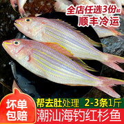 红杉鱼2-3条新鲜海鱼冷冻海鲜水产深海钓红衫红三鱼金丝鱼金线鱼