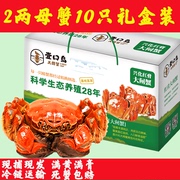 兴化大闸蟹海鲜水产品2两母蟹10只礼盒装