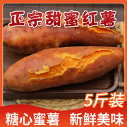 广东农家沙地自种西瓜红红薯 新鲜现挖香甜红薯红心地瓜糖心蜜薯