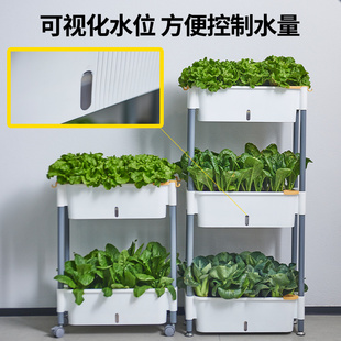 种菜专用箱组合种植盆自吸水塑料花盆架子阳台双层立体蔬菜种植箱