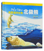 正版 我爱海洋生物 北极熊 朱丽岩 海洋生物科普百科全书海洋动物科普手绘本 北极熊海鸥海洋动物书籍  儿童海洋世界自然科学