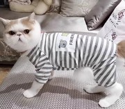 猫咪衣服秋冬季防掉毛睡衣四脚布偶英短蓝猫幼猫宠物春夏狗狗家居