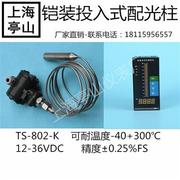 TS-802-K铠装投入式液位传感器/变送器耐高温配仪表 请留言联系客