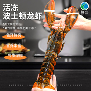 鲜冻波士顿龙虾加拿大螯龙虾，包肥个大肉厚海鲜水产4.54kg整箱