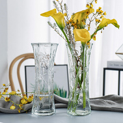特大号透明玻璃花瓶北欧家用水养，富贵竹百合干花插花花瓶客厅摆件