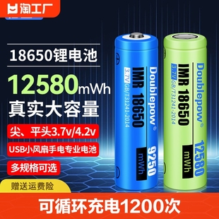 倍量18650锂电池3.7v手电筒4.2v小风扇电蚊拍充电器套装5号强光