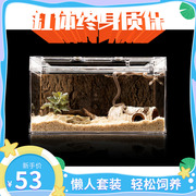 爬虫亚克力雨林饲养缸蜘蛛蜥蜴玩具，蛇造景套装角蛙守宫高清生态箱