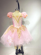 吉赛尔儿童公主舞裙演出服舞蹈蓬蓬纱裙吊带女仙女芭蕾表演服装