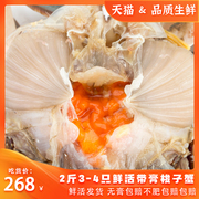 冷冻带膏梭子蟹野生母蟹红膏石浦三角海螃蟹2斤3-4只