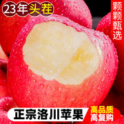 正宗陕西洛川苹果水果，新鲜当季整箱冰，糖心红富士平安果10斤