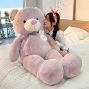 大熊泰迪熊猫毛绒玩具，抱枕公仔娃娃睡觉抱抱熊，特大号玩偶女生女孩