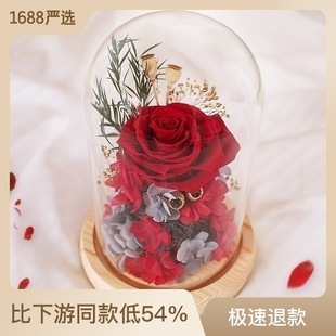 跨境亚马逊玻璃罩永生花摆件真花玫瑰创意情人节生日礼物