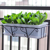 悬挂阳台种菜花盆绿植，花盆架子懒人蔬菜，种植神器草莓菜盆铁艺挂架