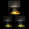 南美鱼缸灯夹灯雷龙专用观赏造景，三湖原生缸，水草缸海缸射灯旋款