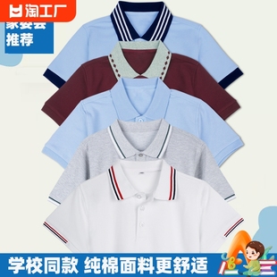 高中生校服短袖套装白色，t恤初中枣红色男女polo衫，天蓝色班服翻领