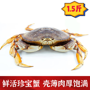 重庆珍宝蟹鲜活面包蟹特大超大螃蟹海鲜水产进口新黄金蟹公母