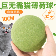 猫玩具猫薄荷球超大自嗨解闷神器猫猫小猫逗猫棒宠物猫咪用品磨牙