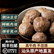 潮庭潮汕牛肉丸正宗手打纯牛肉火锅烧烤食材潮州火锅丸子