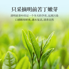 蜀信苦丁茶125g峨眉山茶