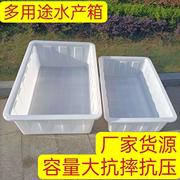 大号长方形白色牛津箱乌龟水产养殖泡瓷砖，浅盆塑料水箱
